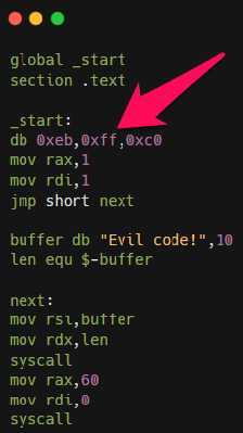 source code in assembly x64