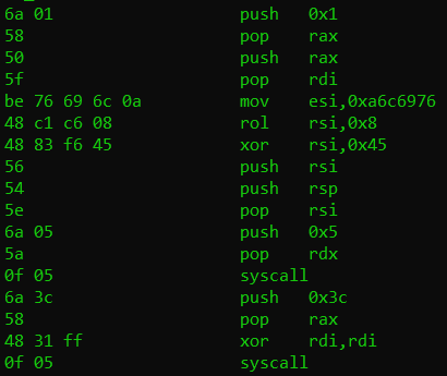 objdump with opcode of compiled code.nasm