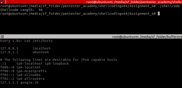 Figure 10 – after executing the shellcode