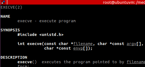 Figure 2 – execve(…) parameters at “$ man 2 execve”