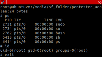 Figure 6 – shellcode executing