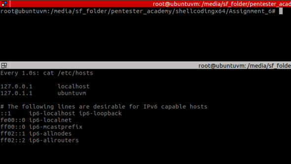 Figure 9 – prior to executing the shellcode