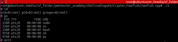 Figure 2 – execution