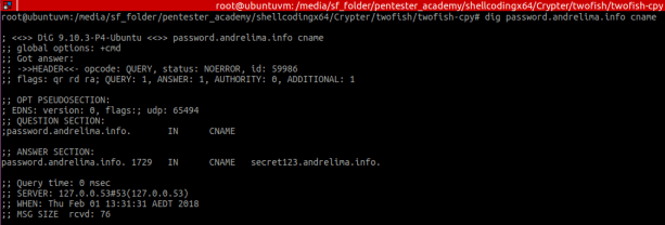 Figure 6 – CName retrieval using dig command line tools