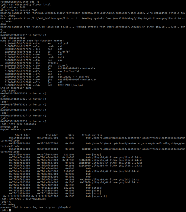 Figure 10 – manipulating the search position to get to the payload faster