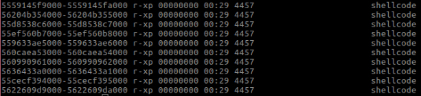Figure 12 – memory randomising the code/text section