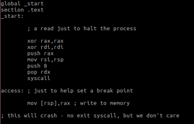 Figure 2 – test.nasm demo code