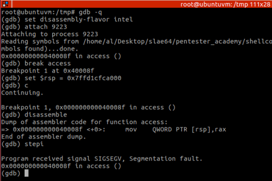 Figure 4 – Segmentation fault