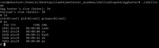 Figure 9 – egg hunter finding payload and executing it