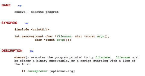 Figure 16 – execve function parameters