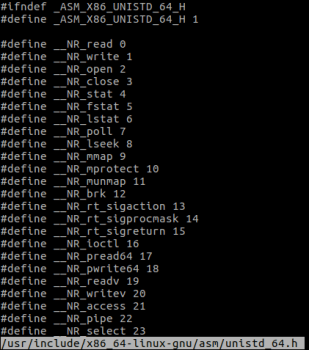 Figure 2 – numbers to put in RAX register for syscalls