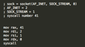Figure 4 – socket syscall