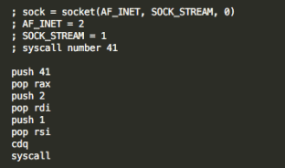 Figure 9 – shorter socket syscall